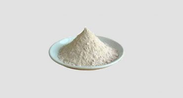 Rumen Protected Fat