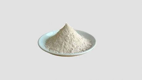 Rumen Protected Fat