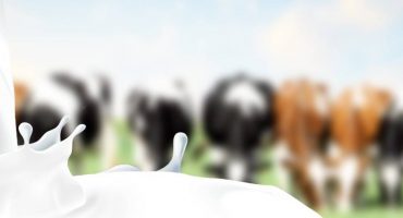 Calcium by Pass Fat Products Background