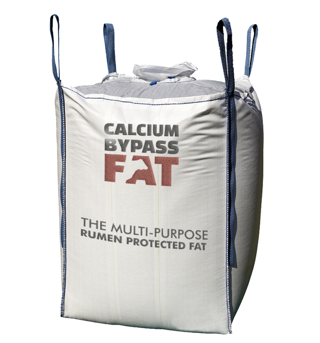 Calcium Bypass Fat Bigbag